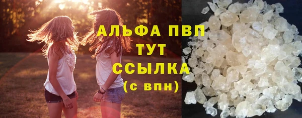 индика Тавда