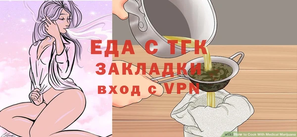 индика Сясьстрой