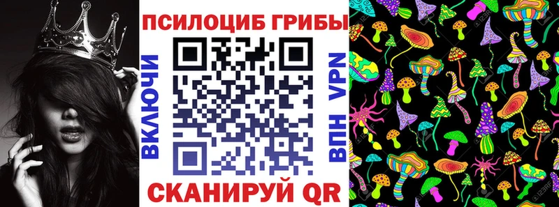 продажа наркотиков  Верхняя Пышма  Псилоцибиновые грибы Magic Shrooms 